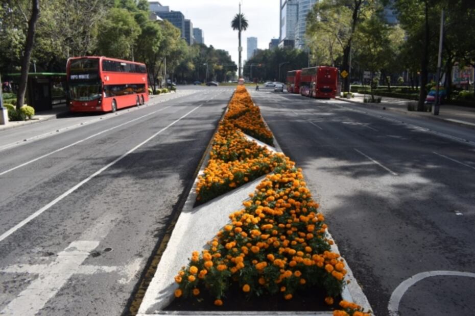 "Pintan" de naranja las calles de la CDMX por Día de Muertos 