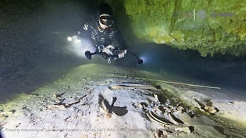 Localizan fósil humano de 8 mil años en Tulum