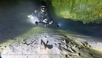 Localizan fósil humano de 8 mil años en Tulum