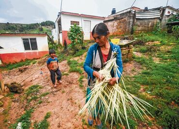 Salud y educación empañan reducción de la pobreza
