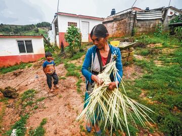 Salud y educación empañan reducción de la pobreza