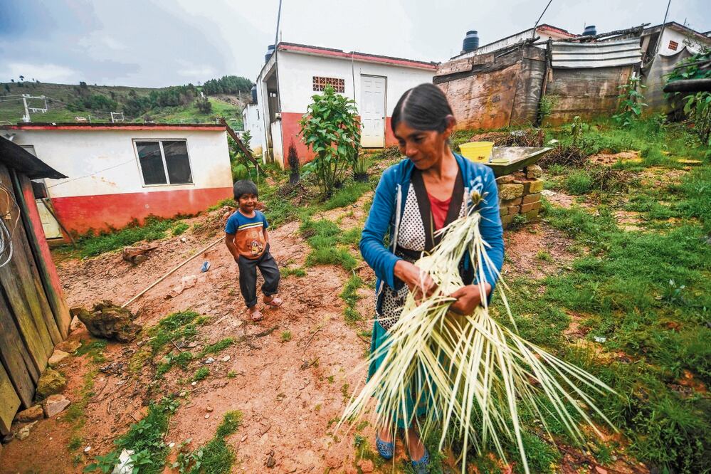 En 2022, 36 de cada 100 personas en México presentaban al menos una carencia social, de acuerdo con el Coneval. Foto: Archivo / El Universal