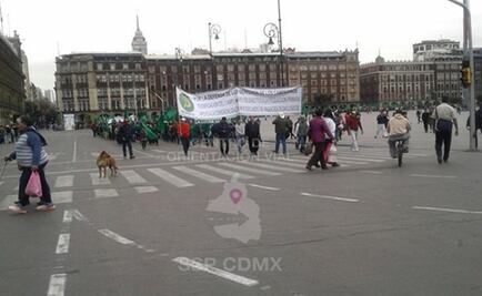 Marcha de campesinos llega al Zócalo; retaguardia permanece en el Ángel