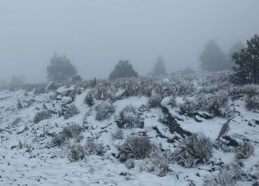 Se registra caída de nieve, aguanieve y lluvia en Veracruz