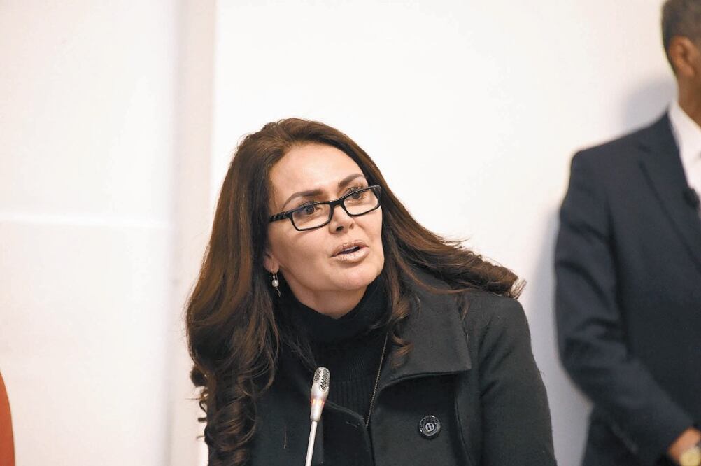 La diputada Leticia Varela explicó que sólo se harán ajustes a lo avanzado a la iniciativa de Ley de Seguridad Ciudadana. Foto: ARCHIVO EL UNIVERSAL