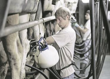Pandemia pega a lácteos orgánicos