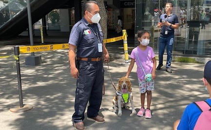 Agradece Metro CDMX festival #AdoptaUnLomito en apoyo a 25 perritos de albergue