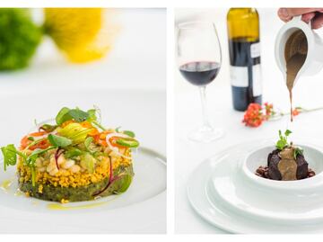 El arte de cocinar con insectos