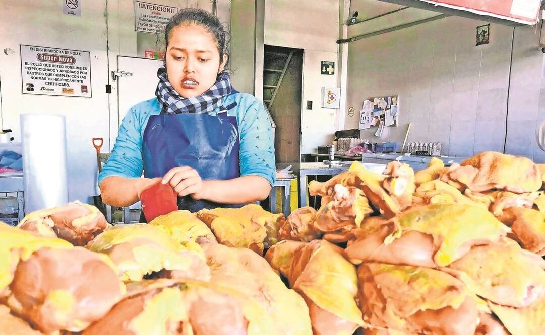 Foto: Archivo/ El Universal.