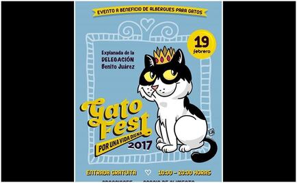 Buscan felinos otra oportunidad con Gato Fest 2017