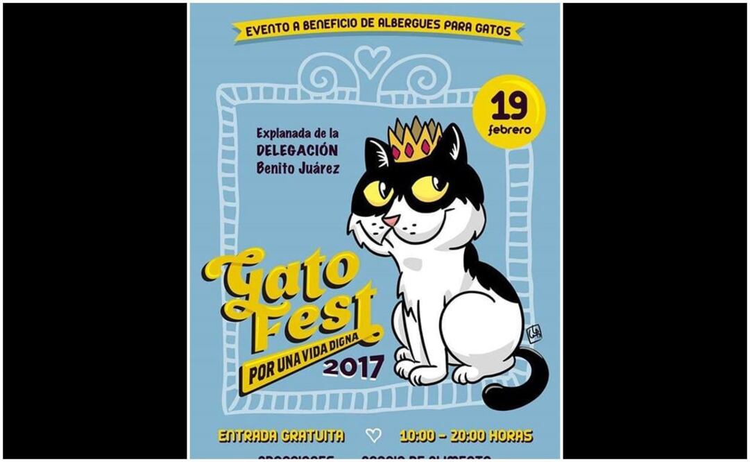 Buscan felinos otra oportunidad con Gato Fest 2017