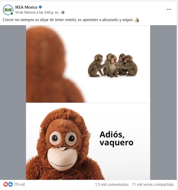 Foto: Captura de pantalla en Facebook