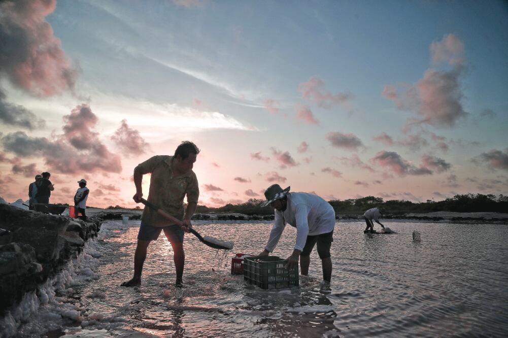 La extracción de la sal se lleva a cabo durante la madrugada y poco antes del anochecer a fin de evitar que el sol, combinado con la salinidad del agua, queme manos y pies de los trabajadores. Foto: ALEJANDRA LEYVA