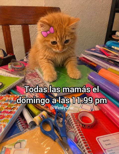 Los mejores memes que dejó el inicio del ciclo escolar 2026-2027. Foto: Redes sociales
