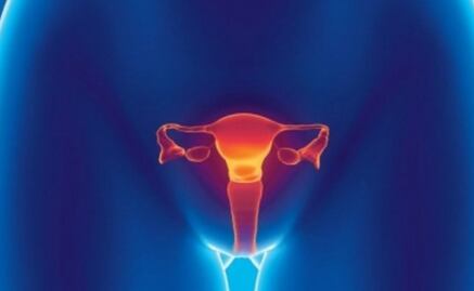 Crean ovarios en laboratorio para utilizarlos en terapia hormonal