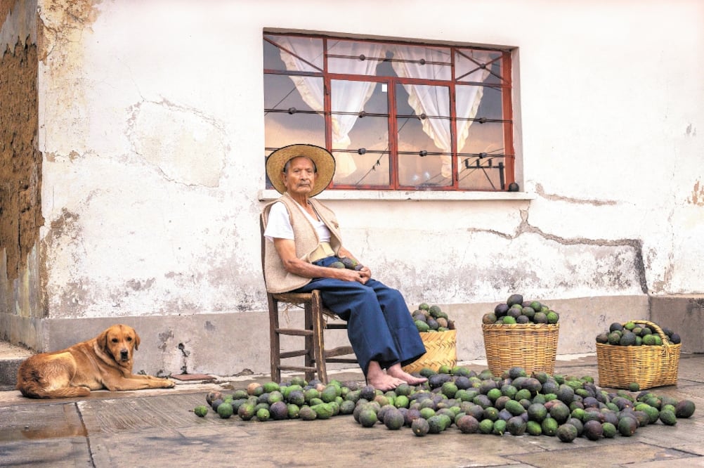 Ariadna Cuadriello y Juan Pablo Cardona tomaron las fotografías. Foto: CORTESÍA ARTES DE MÉXICO