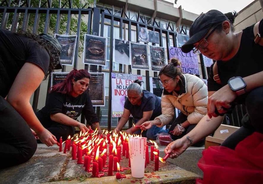 Manifestantes encendieron velas por otros animales asesinados. Foto: Santiago Reyes / EL UNIVERSAL