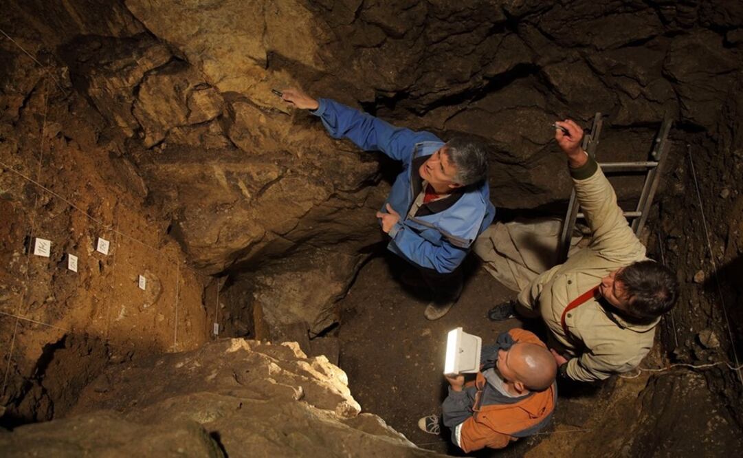 Foto: Max Planck Institute for Evolutionary Anthropology