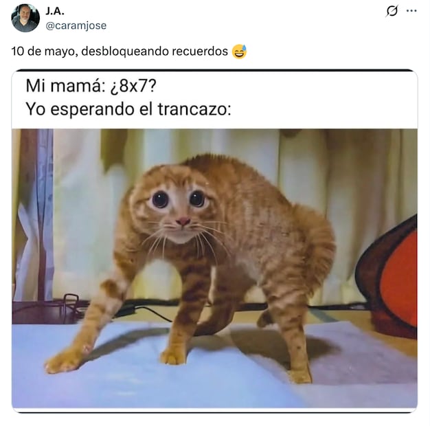 Memes del Día de las Madres en México. Foto: X