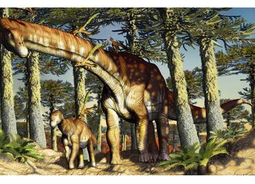 El titanosaurio más antiguo del mundo, descubierto en la Patagonia Argentina