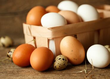 12 razones para que ames el huevo