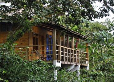 Reserva Azul: cabañas y glamping en en el bosque de Cuetzalan