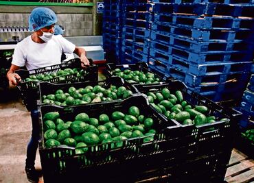 Sexto Informe de Gobierno de AMLO: México diversificó las exportaciones y atrajo más inversión