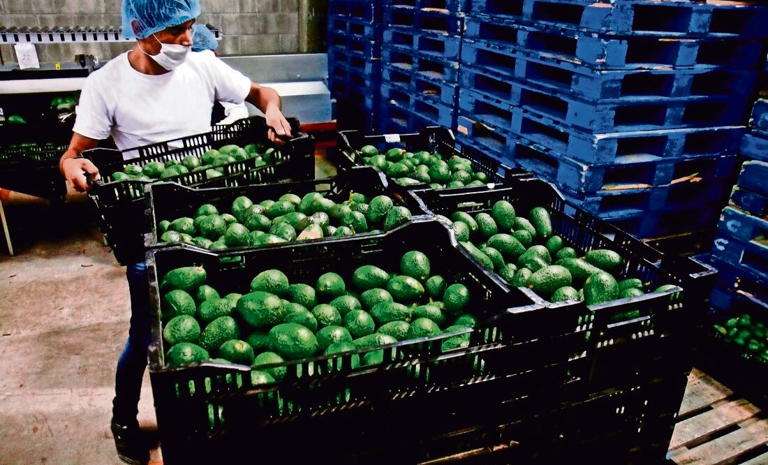 De acuerdo con el Sexto informe de gobierno de AMLO, México fue la novena economía que más atrajo inversiones, al captar 2.7% del monto global. Foto: Archivo/El Universal