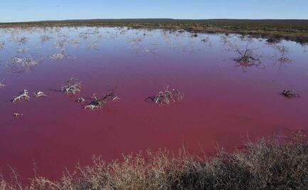Contaminación de industria pesquera pinta de rosa laguna en la Patagonia argentina