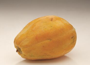 New multistate outbreak of Salmonella linked to Mexican papaya