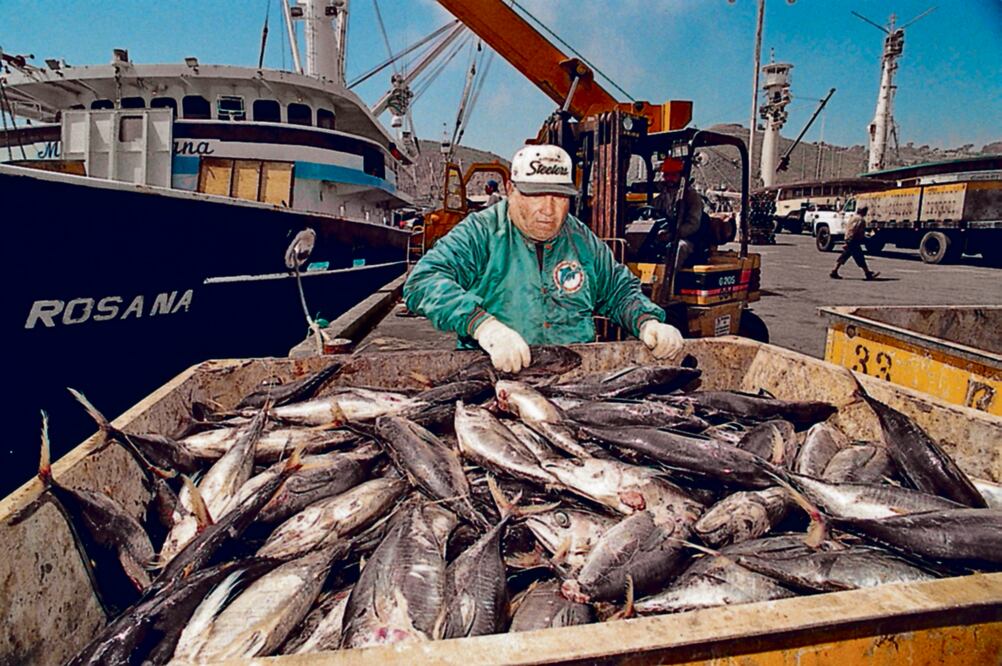 Un especialista en comercio internacional opina que EU tiene 30 días para implementar las medidas por el conflicto atunero (ARCHIVO EL UNIVERSAL)
