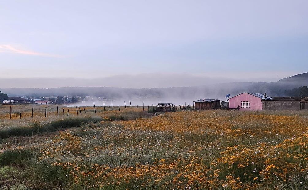 Llega primera helada de la temporada a Chihuahua. Foto: Especial