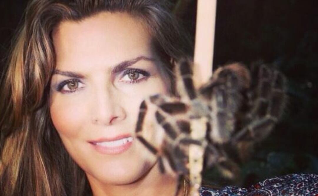 Fotografía: Archivo / EL UNIVERSAL