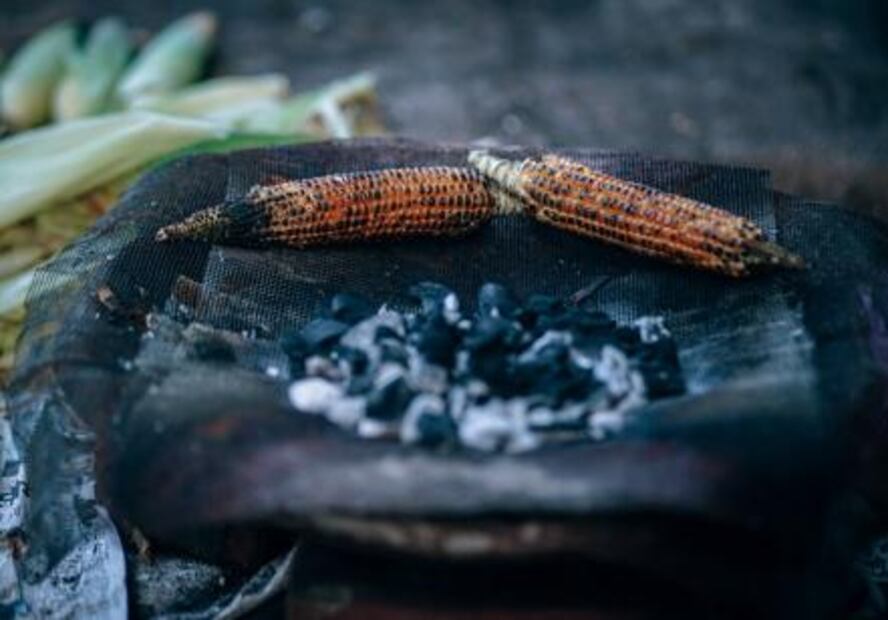 ¡Celebremos en grande el Día Nacional del Maíz!