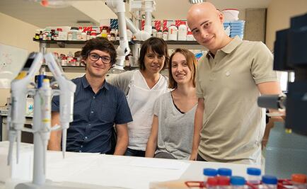 Generan a partir de células madre un hígado 'in vitro'