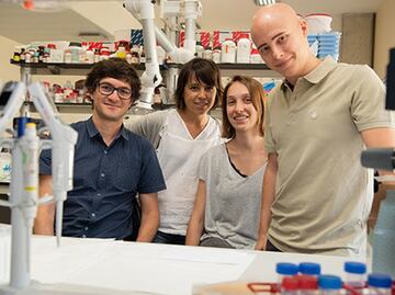 Generan a partir de células madre un hígado 'in vitro'