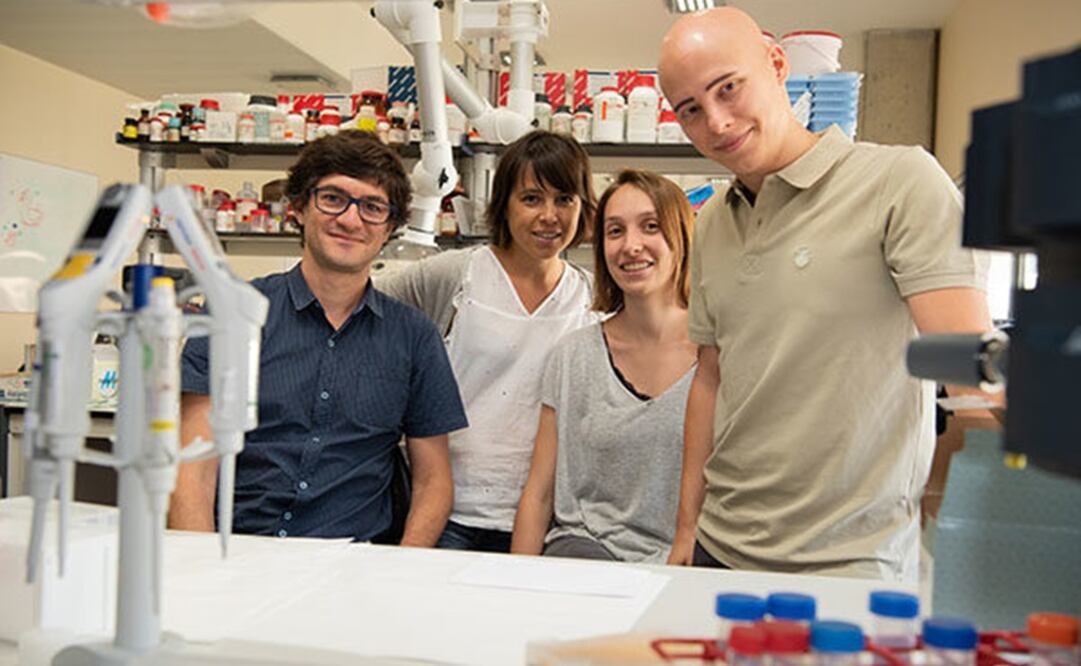 Los investigadores españoles. Foto: Idibaps