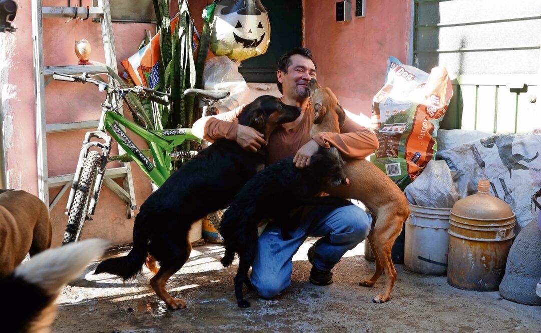 Juan Castellanos ha recogido al menos 13 perros en la zona de Iztapalapa, algunos con problemas intestinales o con lastimaduras. Foto: Diego Simón Sánchez / EL UNIVERSAL