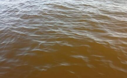 Alerta en Yucatán por llegada de marea roja; el fenómeno amenaza la actividad pesquera