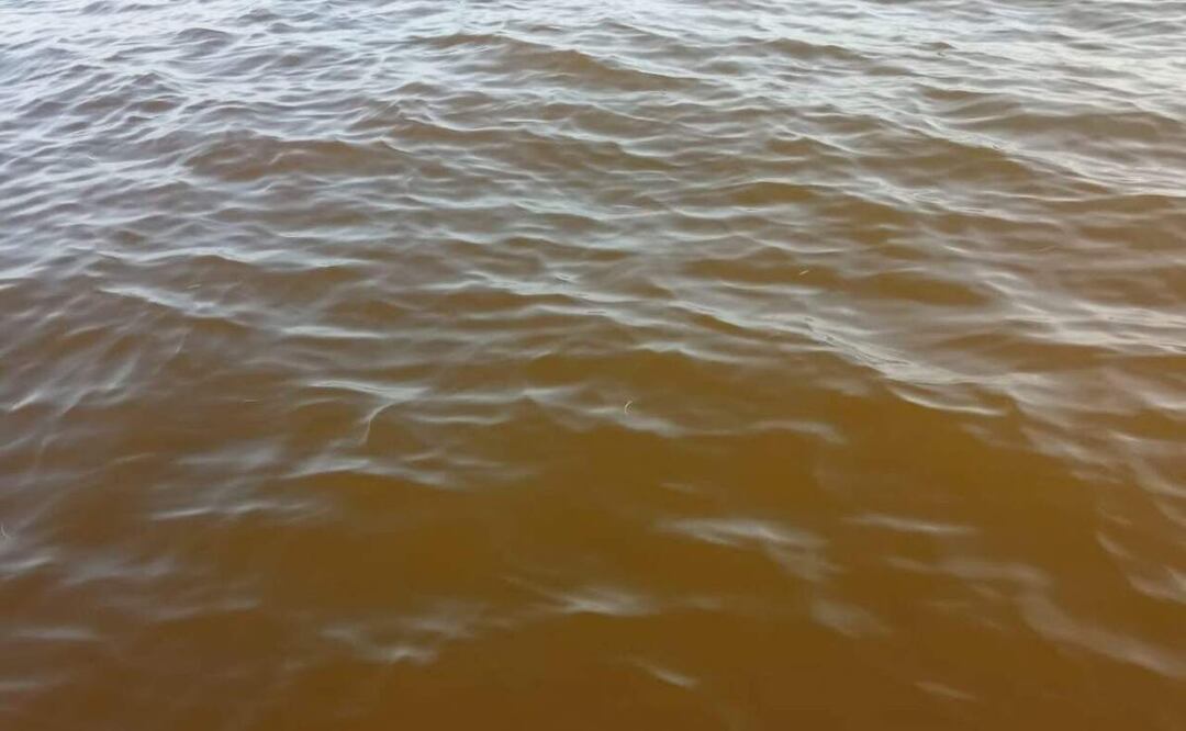 La llegada de la marea roja a costas de Yucatán podría afectar la temporada de langosta y pulpo en la entidad (03/07/2025). Foto: Especial