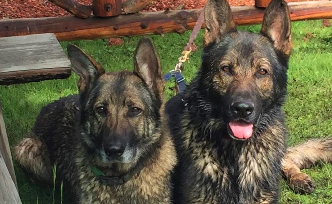 Lomitos. Foto: Cortesía