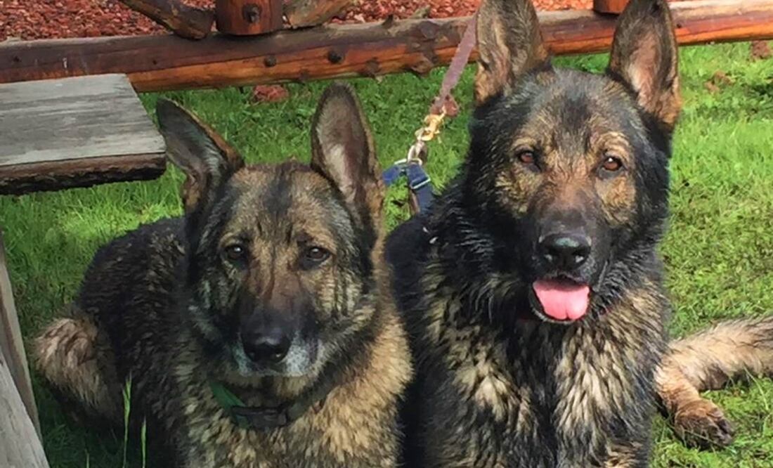 Lomitos. Foto: Cortesía