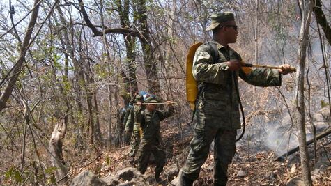 Combaten 110 brigadistas incendio forestal en Chiapas 
