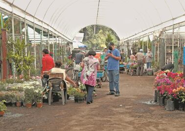 Covid-19 acaba con la tradición de dar flores