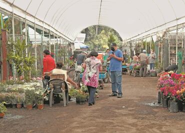 Covid-19 acaba con la tradición de dar flores