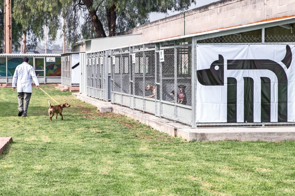El Centro de Transferencia Canina se ubica en las inmediaciones de la estación Rosario, que conecta a las líneas 6 y 7. Foto: El Universal