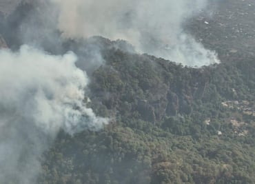 Reportan incendio forestal en Tepoztlán, Morelos; no representa riesgo para viviendas cercanas