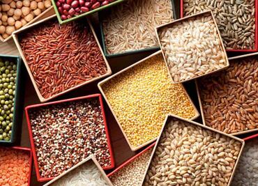 Importaciones de frijol y arroz a México alcanzan récord histórico; sigue al alza compra de maíz amarillo a EU