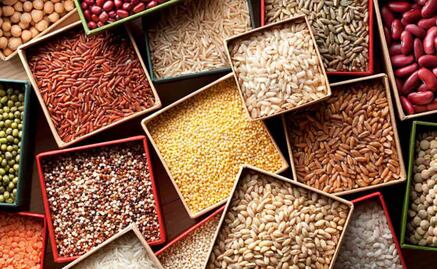 Récord en importaciones de arroz, maíz, trigo, frijol y soya durante 2024; compras al exterior registraron aumento de 16.2%