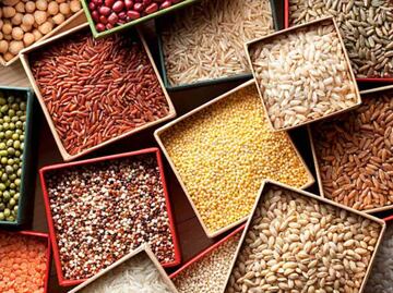 Récord en importaciones de arroz, maíz, trigo, frijol y soya durante 2024; compras al exterior registraron aumento de 16.2%